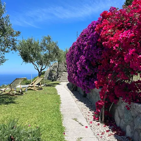 Inarime Ischia