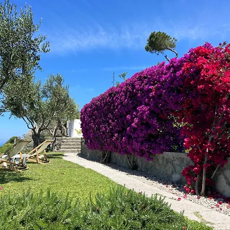 Inarime Villa