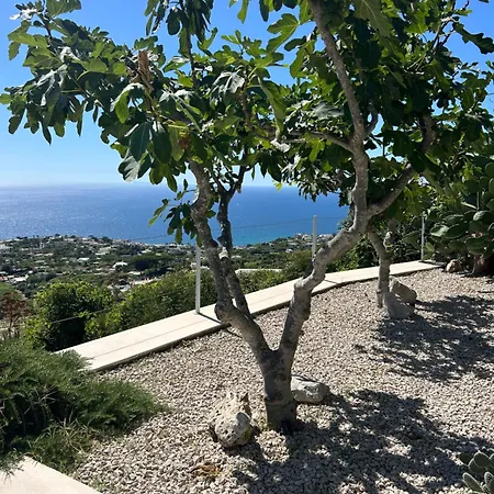 Inarime Villa *