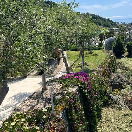 Inarime Villa