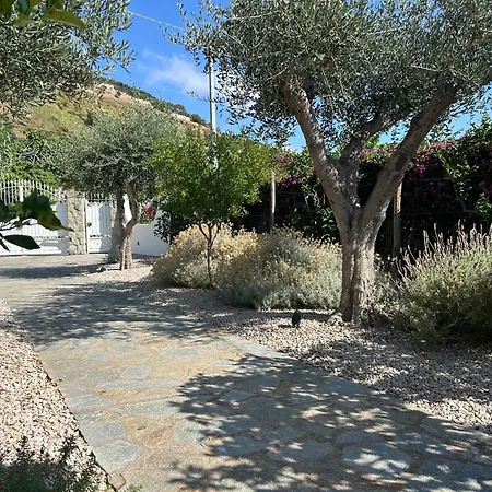 Villa Inarime Sant'Angelo (Isola d'Ischia)